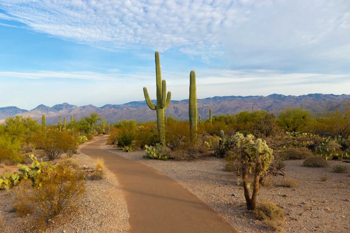 How FEHB and Medicare Work Together During Retirement